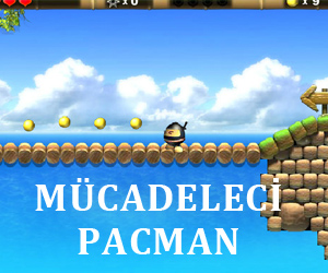 Mücadeleci Pacman 